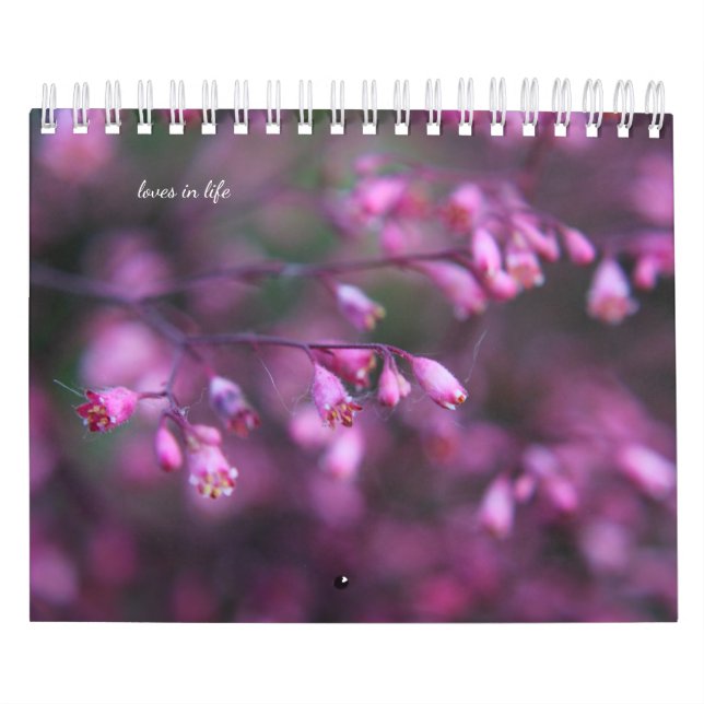 Calendrier Fleurs d'été délicates (Protection)