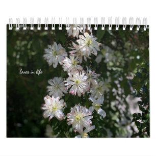 Calendrier Fleurs du jardin blanc