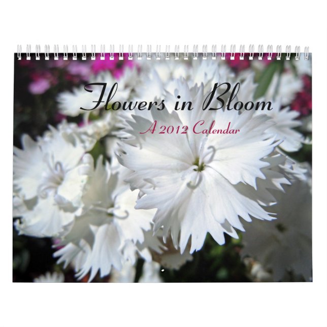 Calendrier Fleurs en fleur (Protection)