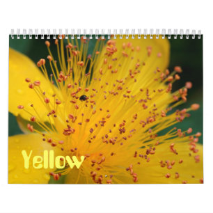 Calendrier Fleurs jaunes