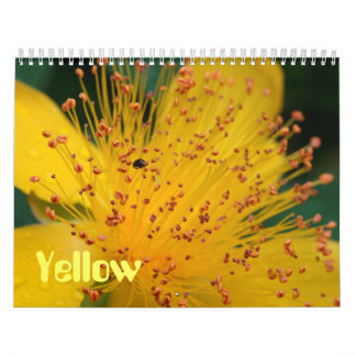 Calendrier Fleurs jaunes
