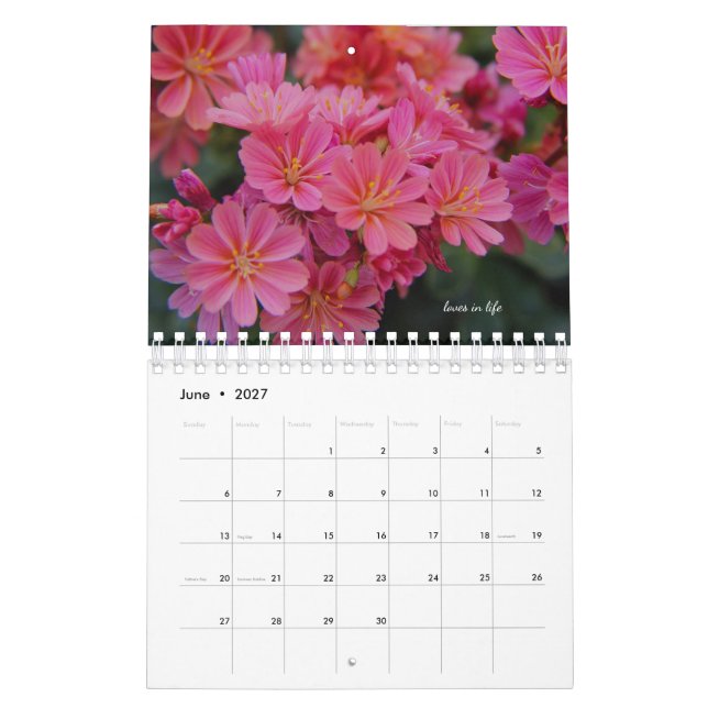 Calendrier Fleurs roses du jardin (Jun 2027)