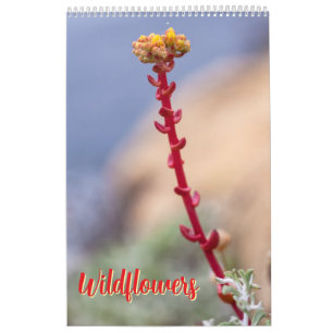 Calendrier Fleurs sauvages