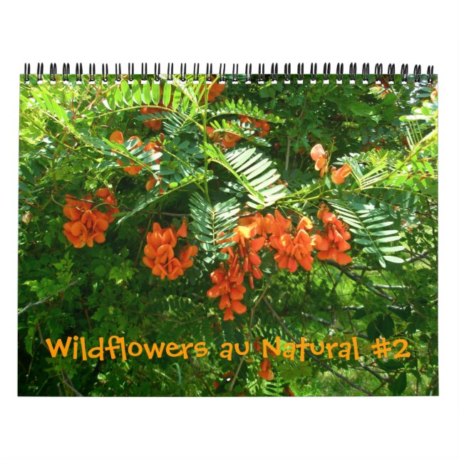 Calendrier - Fleurs sauvages au naturel #2 (Protection)