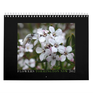 Calendrier Fleurs sauvages australiens