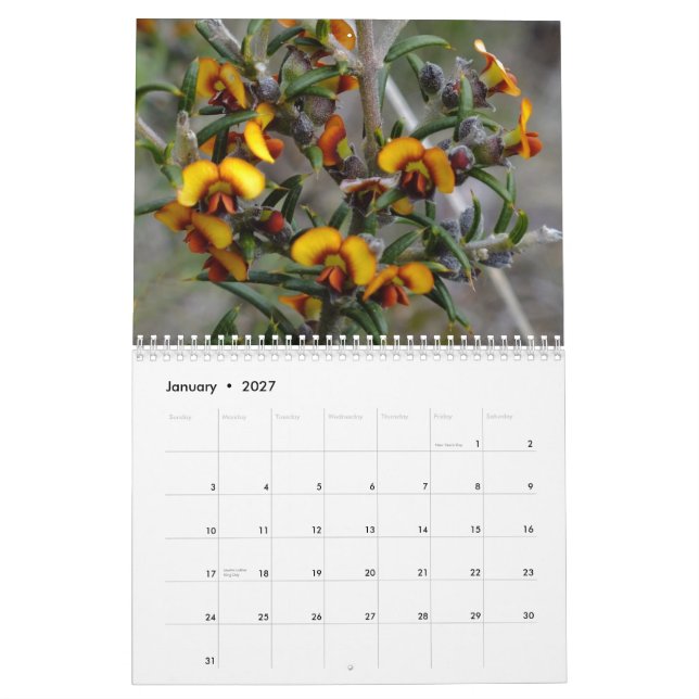 Calendrier Fleurs sauvages australiens (Jan 2027)