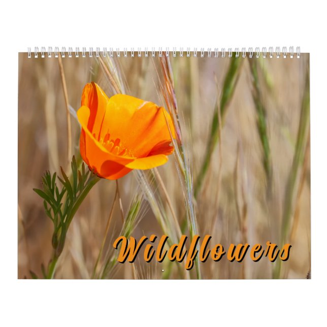 Calendrier Fleurs Sauvages Colorées  (Protection)