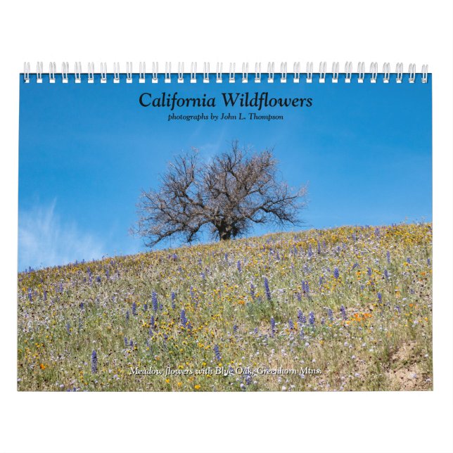 Calendrier Fleurs sauvages de Californie 2020 (Protection)
