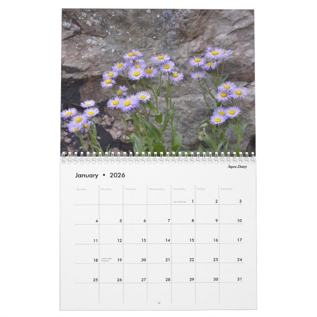 Calendrier Fleurs sauvages du Colorado (Jan 2026)