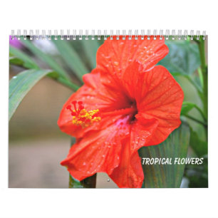 Calendrier Fleurs tropicales