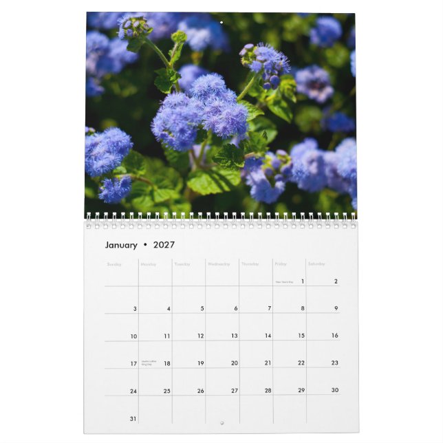 Calendrier Flora 2011 (Jan 2027)