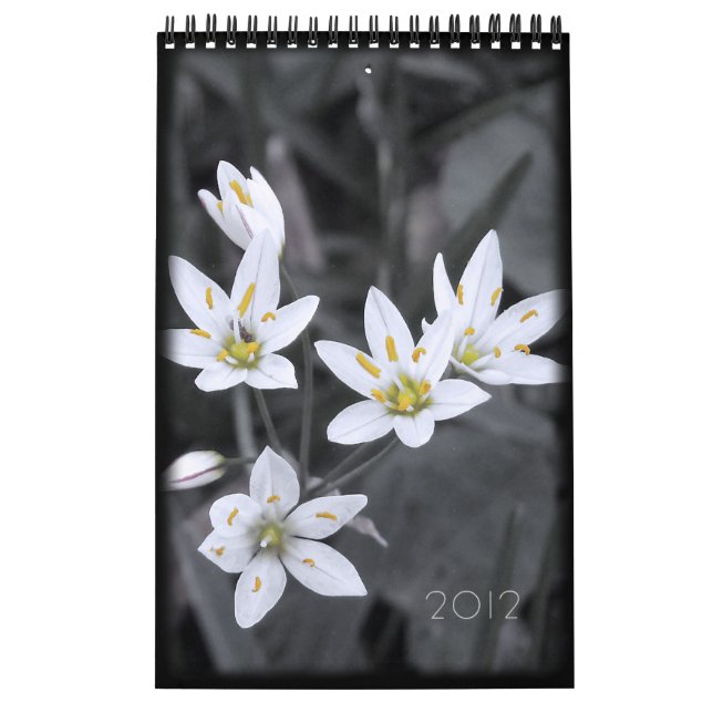 Calendrier floral 2012 12 mois d'une page (Protection)