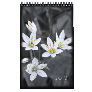Calendrier floral 2012 12 mois d'une page