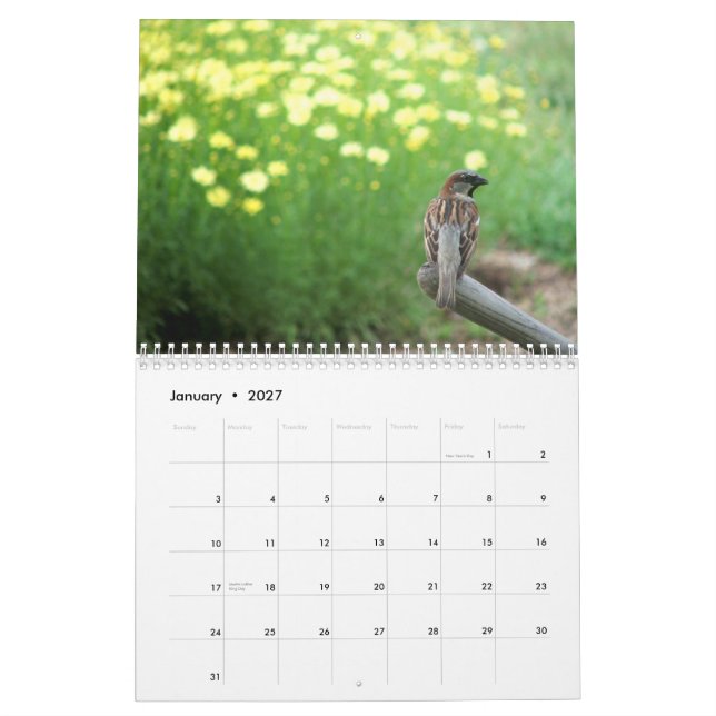 Calendrier floral 2013 : Accueil à mon jardin (Jan 2027)