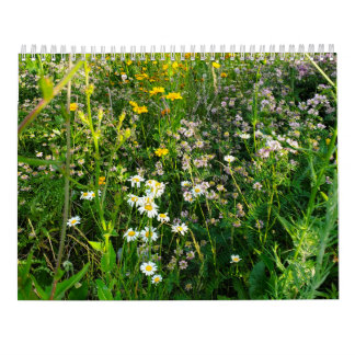 Calendrier floral 2027