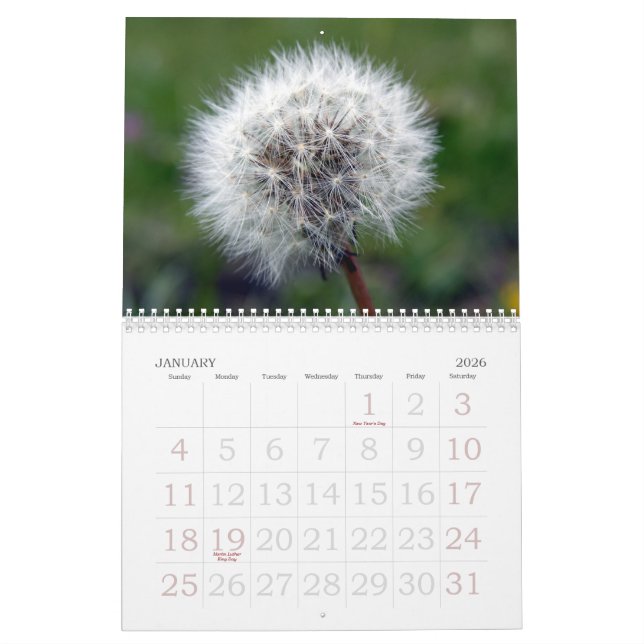 Calendrier floral suisse de l'étalage 2008 (Jan 2026)