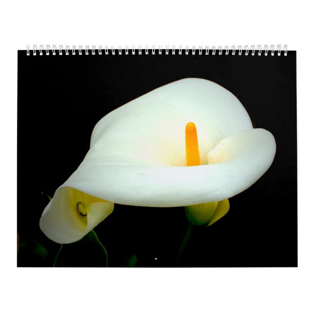 Calendrier Floral sur le noir (Protection)