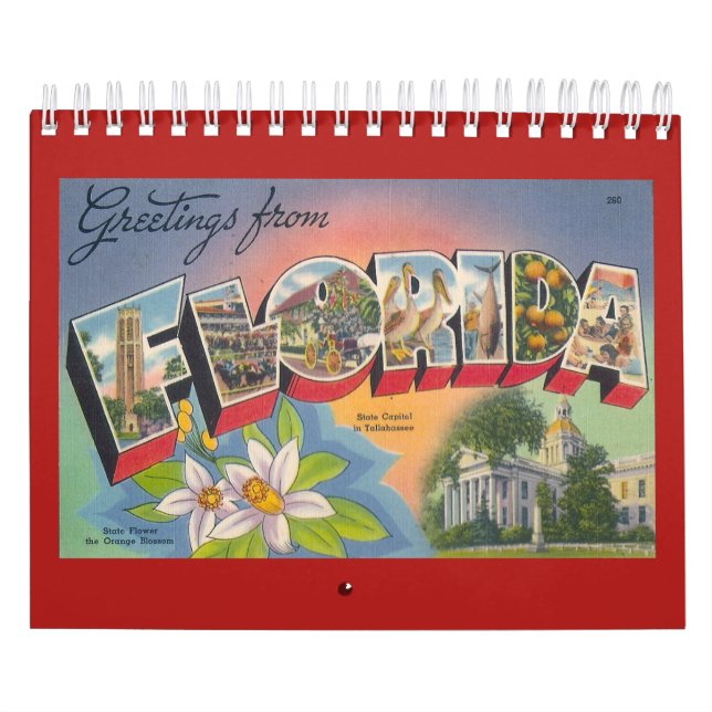 Calendrier FLORIDA, une année vintage (Protection)