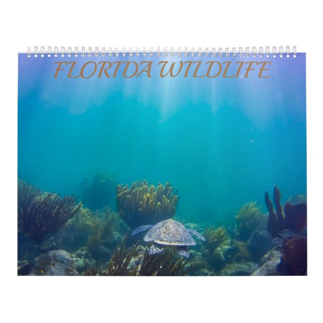 Calendrier Florida Wildlife Calendar 2020 (Protection)