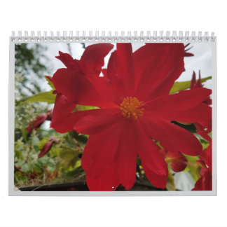 Calendrier Flower Are It 2026 Calendar