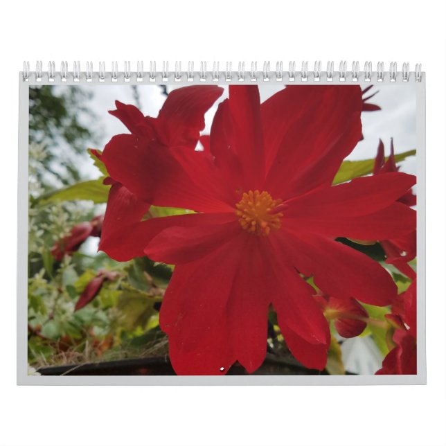 Calendrier Flower Are It 2026 Calendar (Protection)