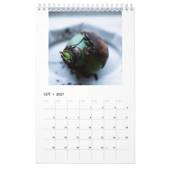 Calendrier Flower calendar (Dec 2027)