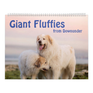 Calendrier Fluffies géantes