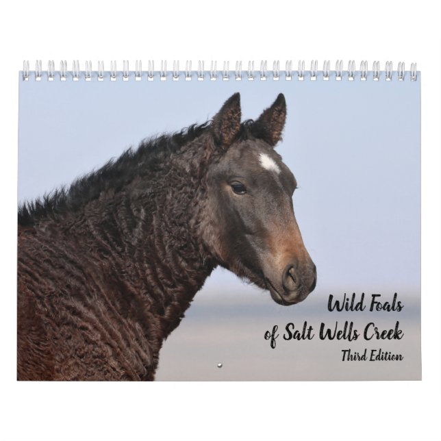 Calendrier Foals sauvages de Salt Wells Creek (Protection)
