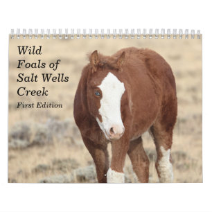 Calendrier Foals sauvages de Salt Wells Creek