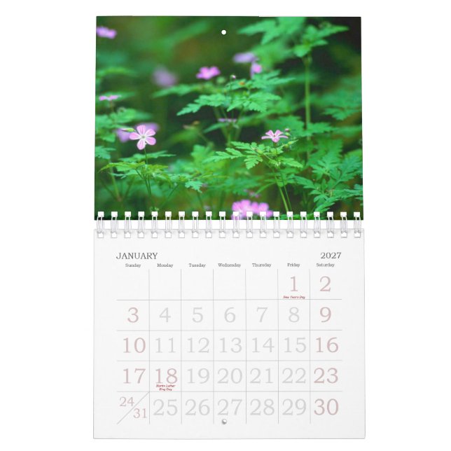 Calendrier Forêt (Jan 2027)