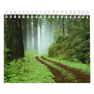 Calendrier Forêt