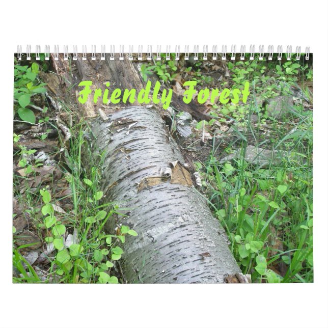 Calendrier - Forêt conviviale (Protection)