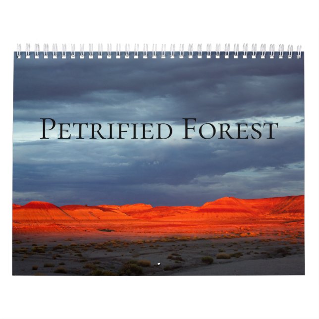 Calendrier Forêt pétrifiée (Protection)