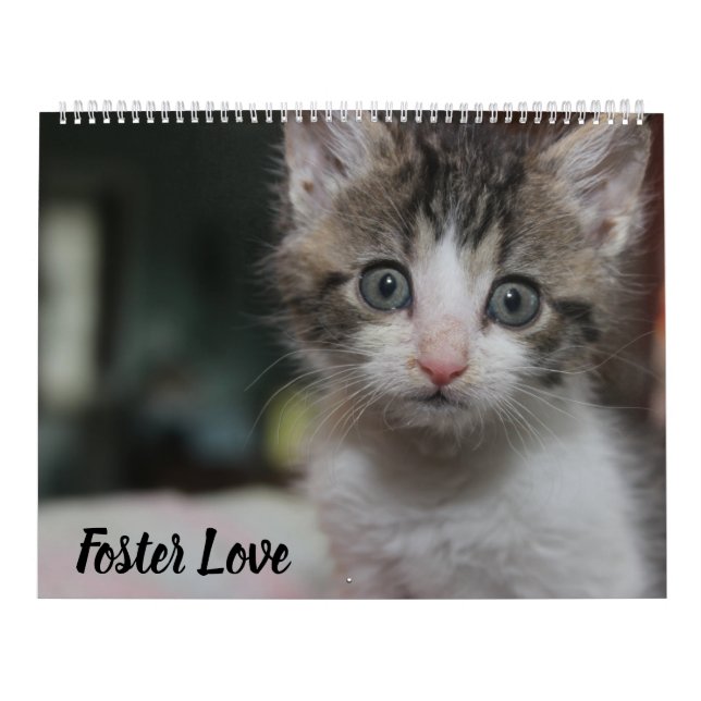 CALENDRIER FOSTER LOVE (Protection)