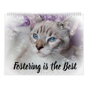 CALENDRIER FOSTERING KITTENS IS THE BEST