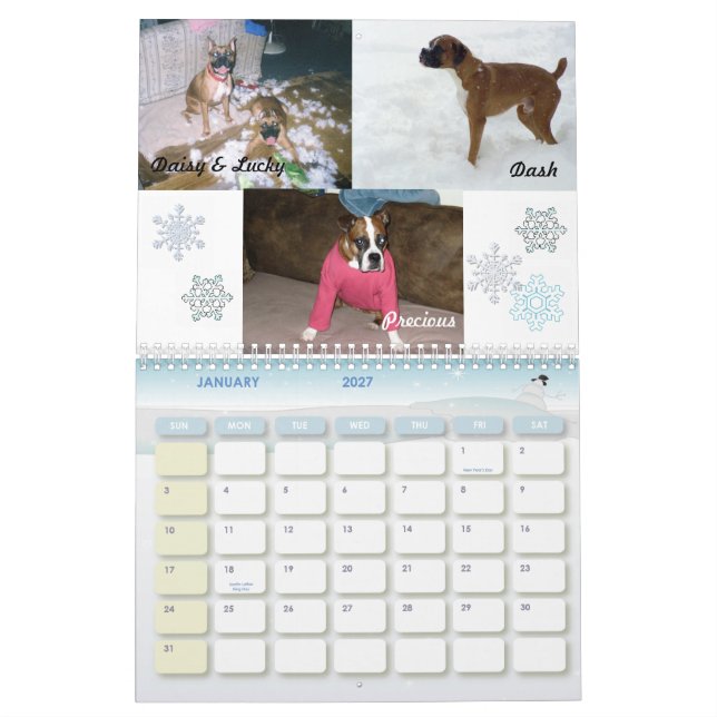 Calendrier fou 2011 de boxeur (Jan 2027)