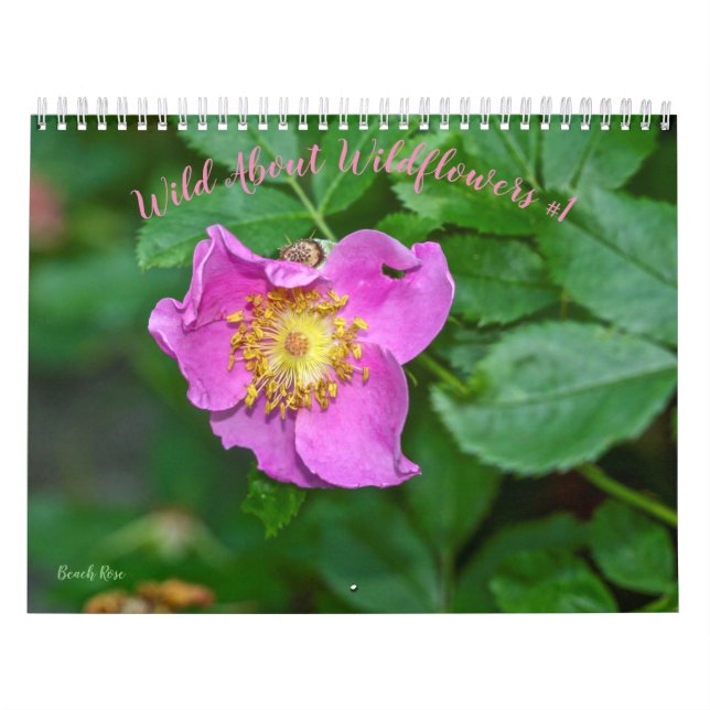 Calendrier Foule à propos des Fleurs sauvages #1 (Protection)