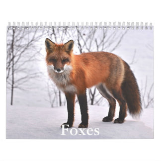 Calendrier Fox