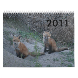 Calendrier Fox 2011