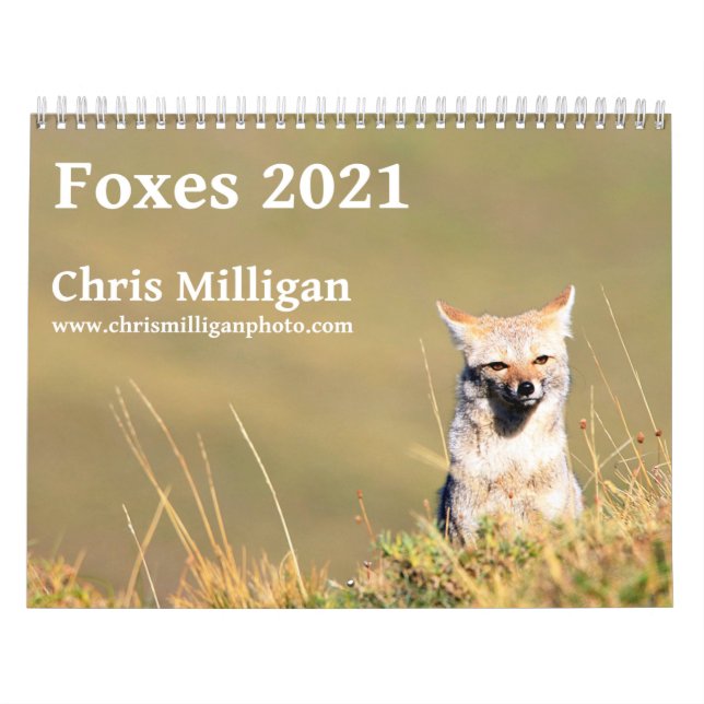 Calendrier Foxes 2021 par Chris Milligan (Protection)
