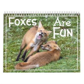 Calendrier Foxes Are Fun Calendar