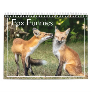 Calendrier Foxes Funnies