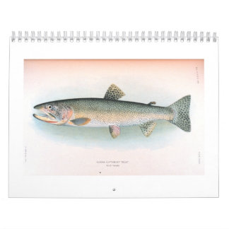 Calendrier frais et de mer de poissons