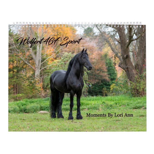 Calendrier Friesian Stallion Wolfert 467 Sport (Protection)