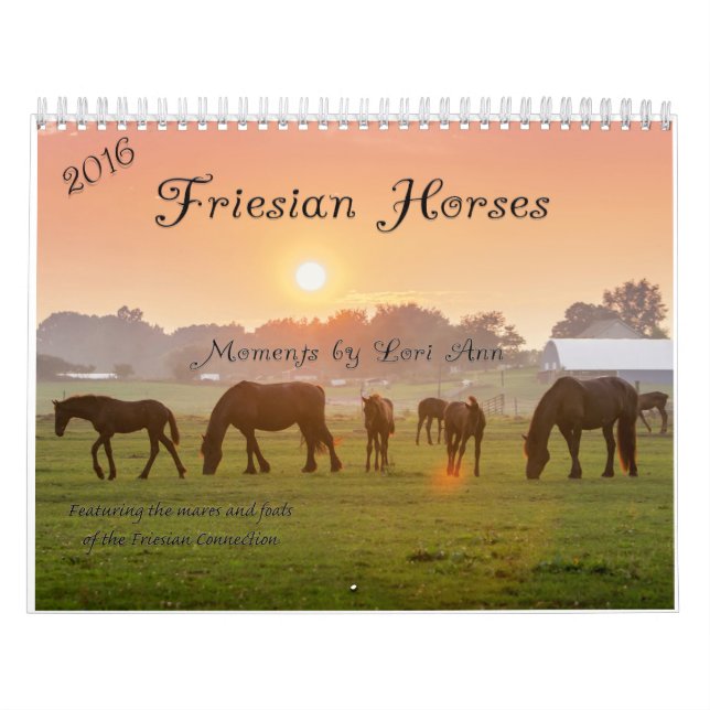 Calendrier frison de cheval (Protection)