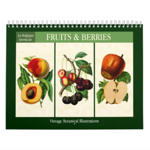 Calendrier Fruits et baies Botanique Vintage 2026
