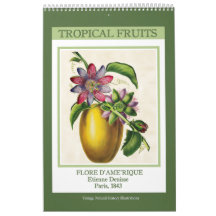 Fruits Tropicaux Botaniques Vintage 2027