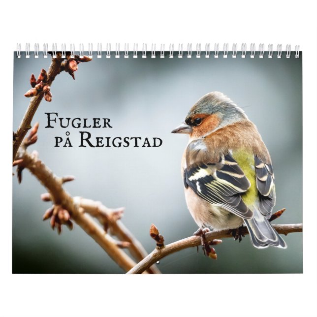Calendrier Fulger på Reigstad - Kalender 2021 (Protection)
