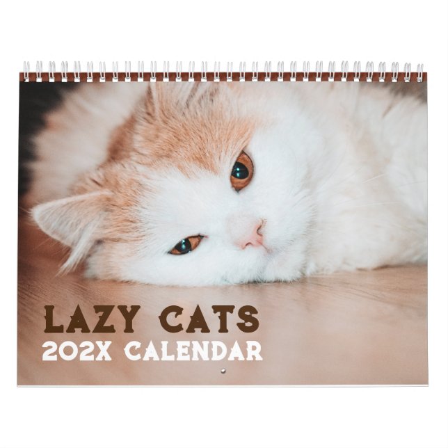 Calendrier Funny Lazy Cats 2026 (Protection)