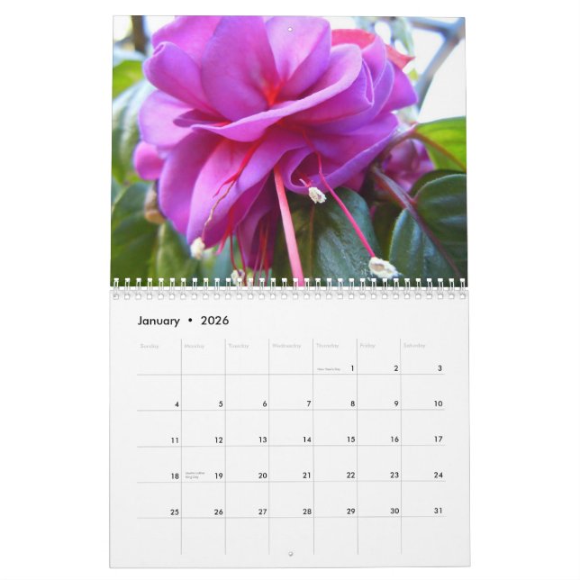 Calendrier Fuschias (Jan 2026)